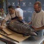 SABORE ITALIANO: Una evocación de la tradición italiana en Cuernavaca 🇮🇹☕🍰